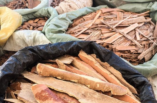 Cascas de madeiras nativas da Caatinga vendidas na banca do Seu Paulo. Fotos: Gabrielle Ferreira / Repórter Gourmet.